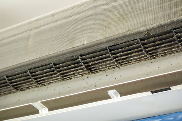 Best Air Quality Test  in Oaklyn, NJ